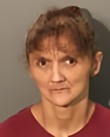 Mugshot of Stefanie Evelyn Howard