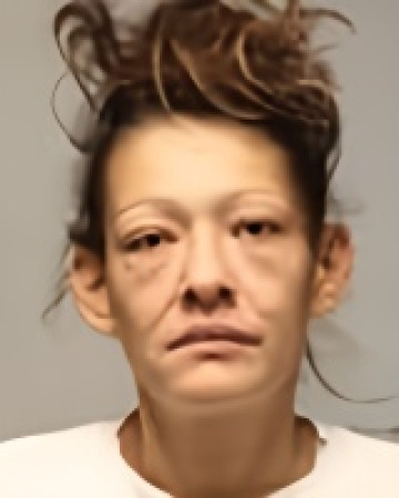 Mugshot of Nicole Shane Beaulieu