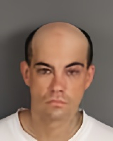 Mugshot of Travis James Lamblin