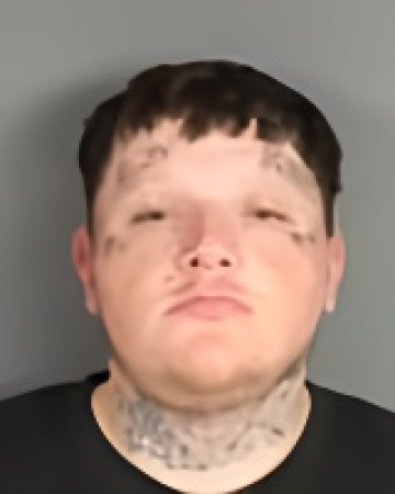 Mugshot of Gavin Robert Jackson