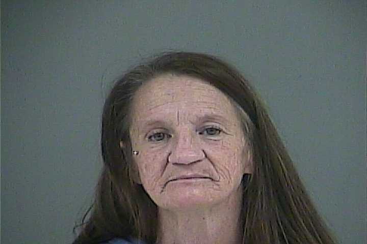 Mugshot of BRANDI L STAGNOLIA