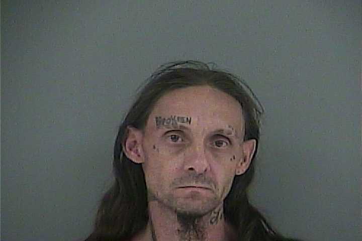 Mugshot of MICHAEL W HAYES