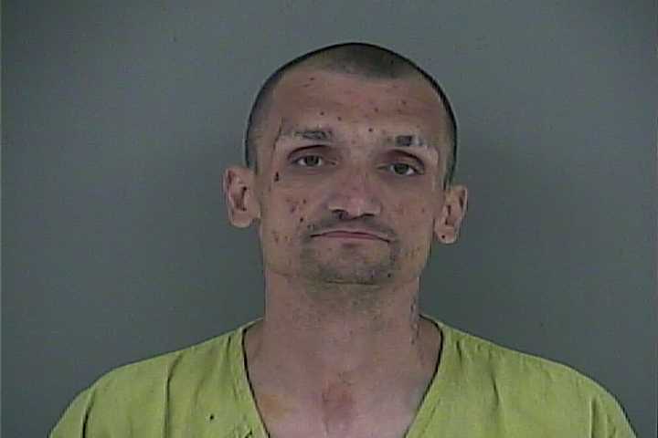 Mugshot of VINCENT E JR ROACH