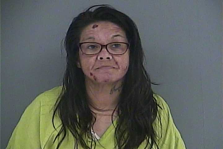 Mugshot of CHANTELE R ORTIZ