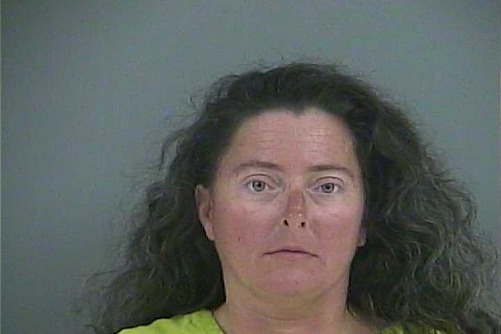 Mugshot of JAMIE R ANDERSON