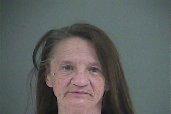 Mugshot of BRANDI L STAGNOLIA