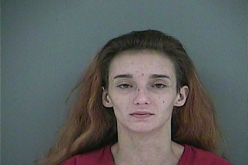 Mugshot of PAYTON N BRIDGES