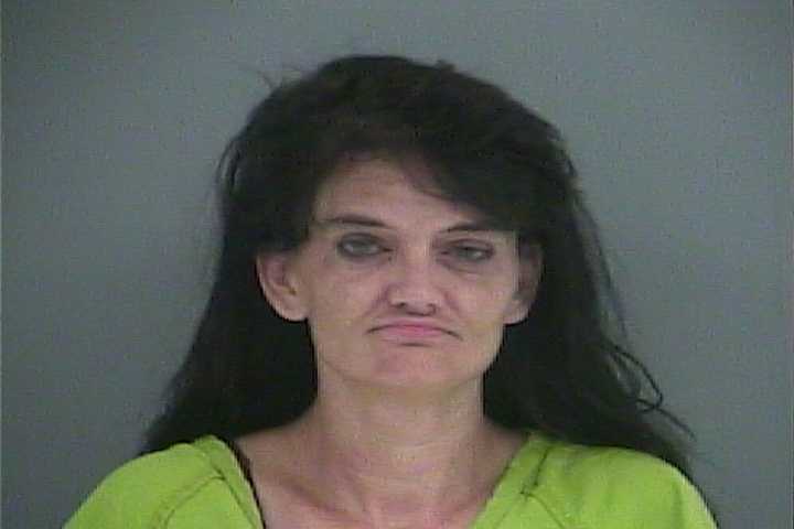 Mugshot of JESSIKA D WILSON