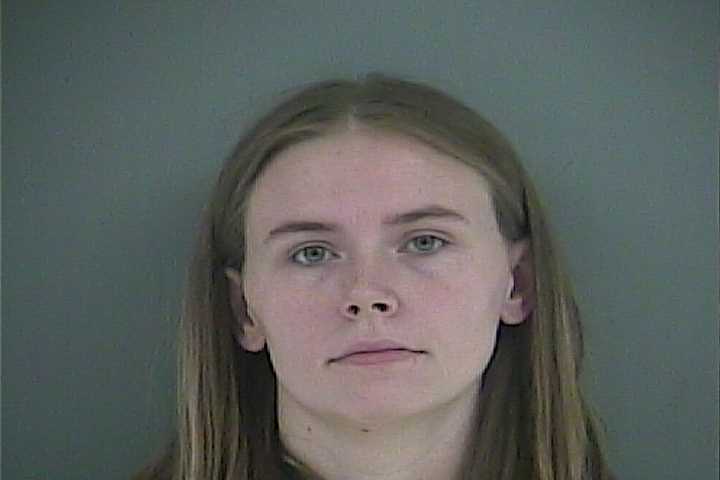 Mugshot of ELIZABETH R BOYCE