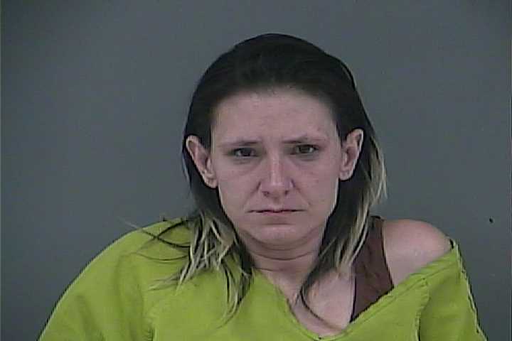 Mugshot of CAROL L VARGA