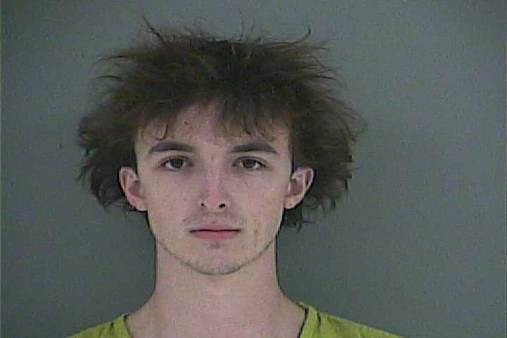 Mugshot of BRANNAN D BOLLING