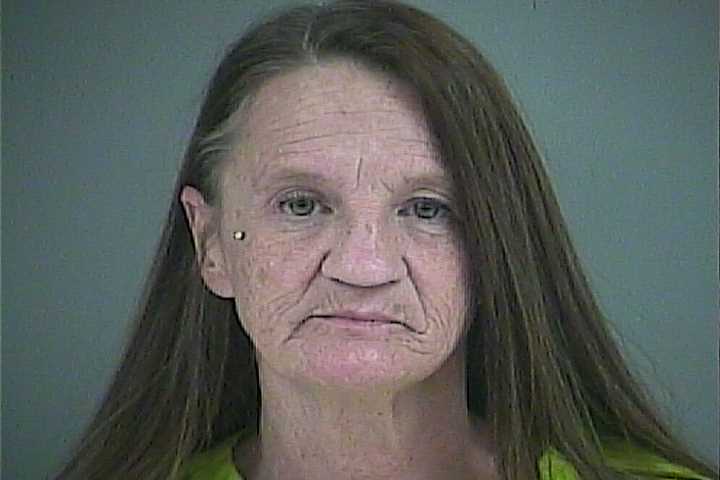 Mugshot of BRANDI L STAGNOLIA