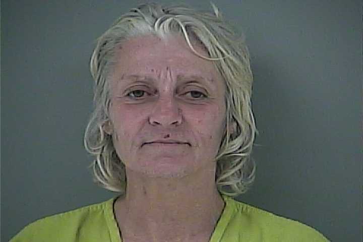 Mugshot of MICHELLE L FRAKER WILLIAMS