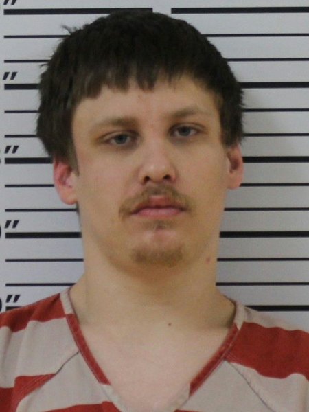 Mugshot of HAYDEN VICK