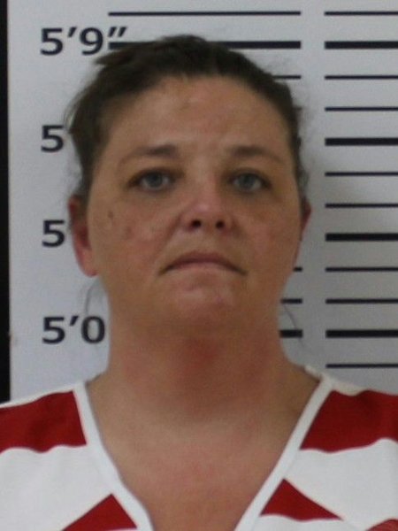 Mugshot of BRANDY FREEMAN