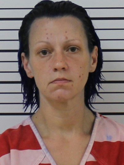 Mugshot of HEIDI R GANZMAN