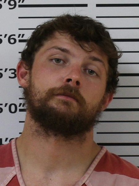 Mugshot of DOMINIC WADE PETERS
