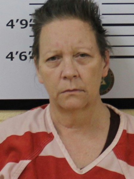 Mugshot of JANICE ELIZABETH GLEASON