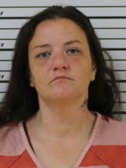 Mugshot of ELIZABETH BOYCE