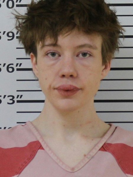 Mugshot of MICHAEL LOGAN WILLIAMS