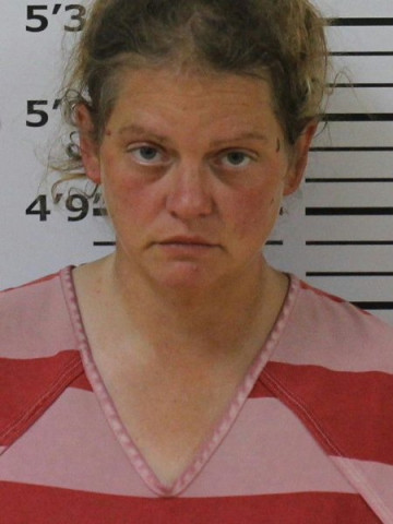 Mugshot of BRIANNA D WESOLOWSKI