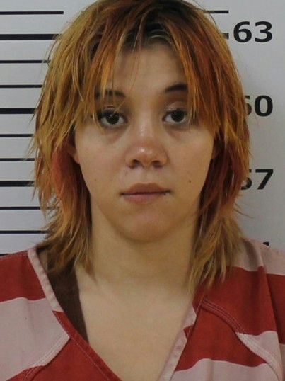 Mugshot of EMILY DAWN BOINGS