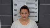 Mugshot of SANDRA H FALK