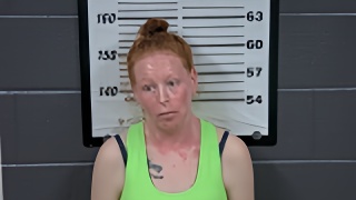 Mugshot of EMILEE N AYTES