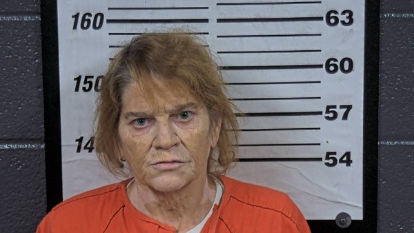 Mugshot of LYDIA G SHERRILL