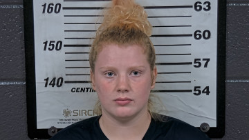 Mugshot of TOINA L FOUST