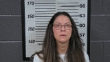 Mugshot of JILL A WALKER