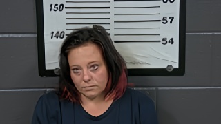 Mugshot of JESSICA D DAVIS