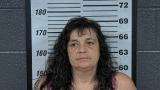 Mugshot of ANDREA L GREATOREX