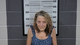 Mugshot of DORIS J WILLIAMS