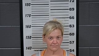 Mugshot of DEANNE R HENRY