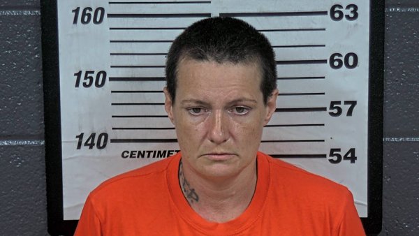 Mugshot of ASHLEY L WILLIAMS