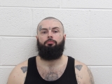 Mugshot of JOSHUA T HORNER