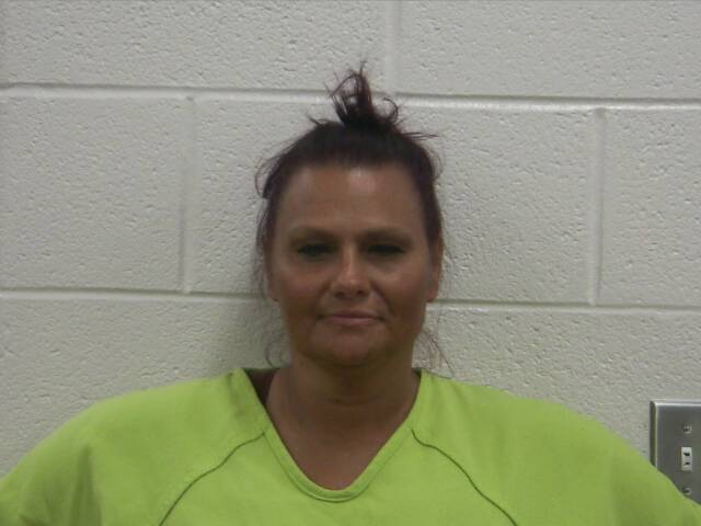 Mugshot of DANA M LIVINGSTON