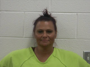 Mugshot of DANA M LIVINGSTON