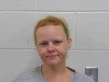 Mugshot of ASHLEY D SKYE