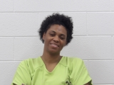 Mugshot of SHAUNA L PROFFITT