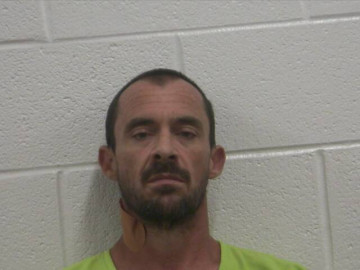 Mugshot of WAYNE A CARROLL
