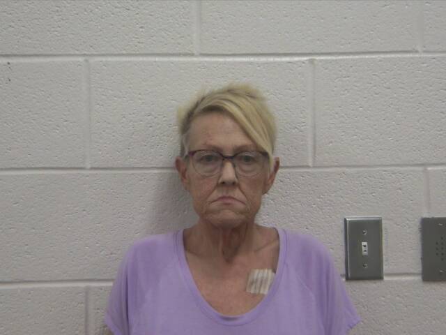 Mugshot of DONNA M GIBBONS