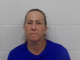 Mugshot of RANDI L HIPSHER
