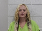 Mugshot of SHIANN M PURKEY