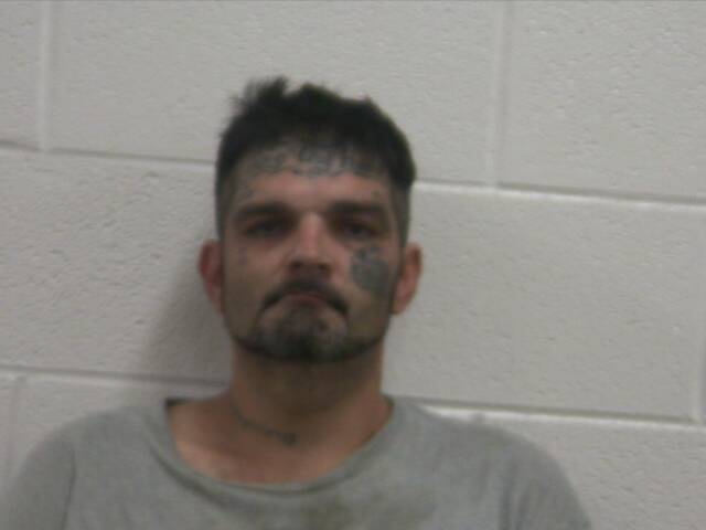 Mugshot of WILLIAM J FRANCE