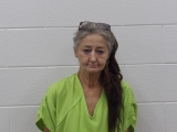 Mugshot of DEBRA S PENLAND