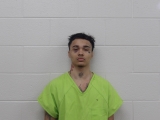 Mugshot of GABRIEL M BROWN