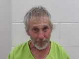 Mugshot of MARK E HANNAH