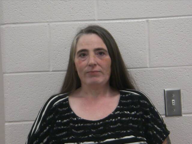 Mugshot of HEATHER N JOHNSON